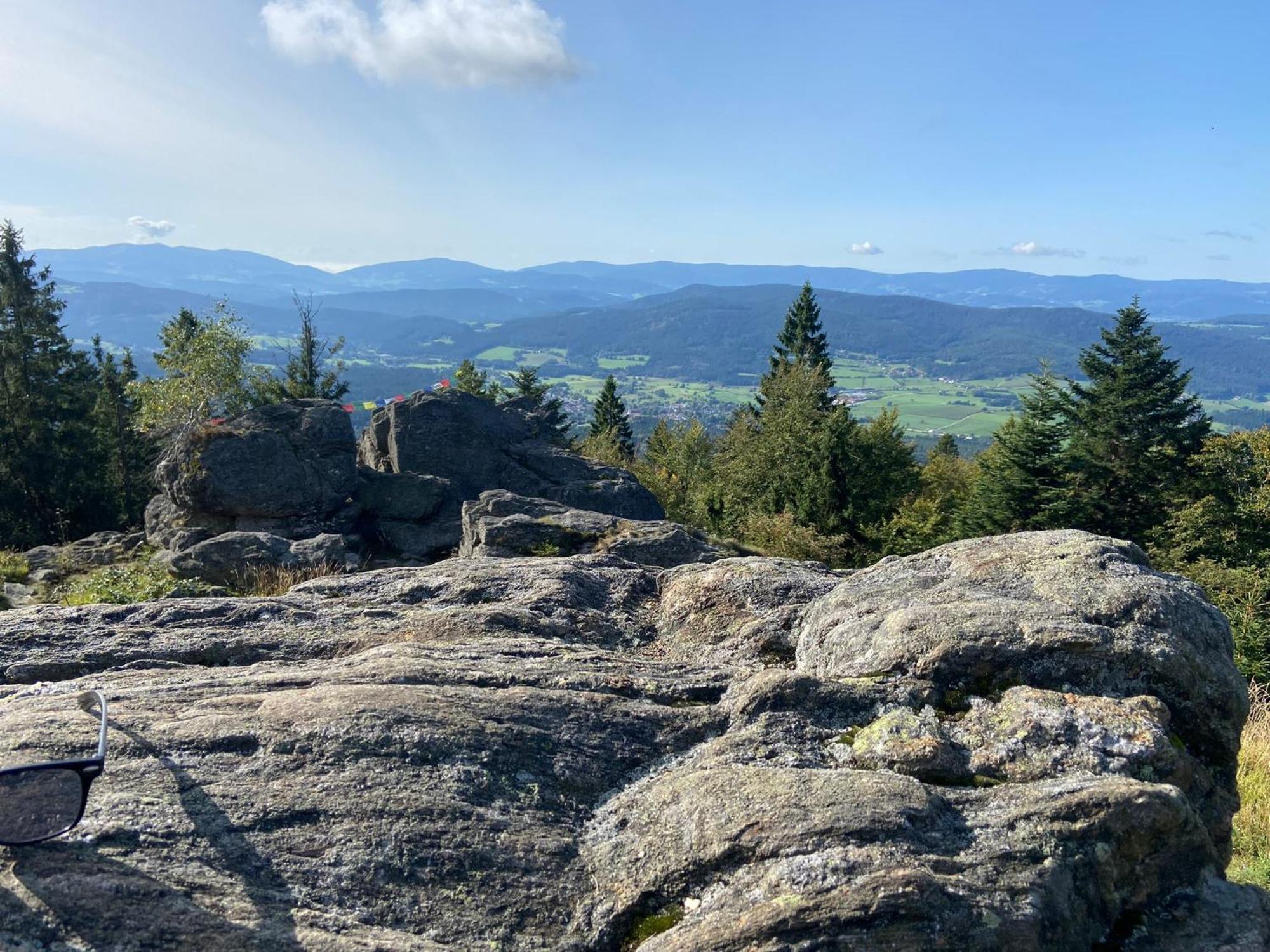 Landgasthof Brandtner Wirt Hotel Langdorf  Eksteriør billede